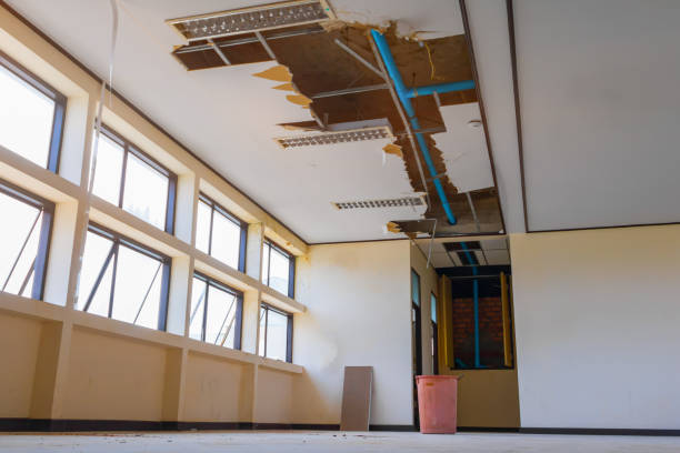 Best Emergency water damage restoration  in Cannon Af, NM